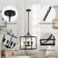 Alenah Chandelier