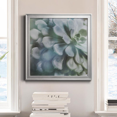" Soft Succulent I " Painting Print