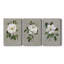 Botanical Magnolia - ensemble de 3 reproductions sur toiles tendues-1764003210