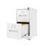 Classeur vertical à 2 tiroirs en métal avec serrure pour le bureau, format A4 légal / lettre, blanc, grande capacité, organisation facile, sécurité, inclinaison, surface lisse, fonctionnement silencieux, assemblage simple-646967747