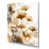 Wrapped Canvas