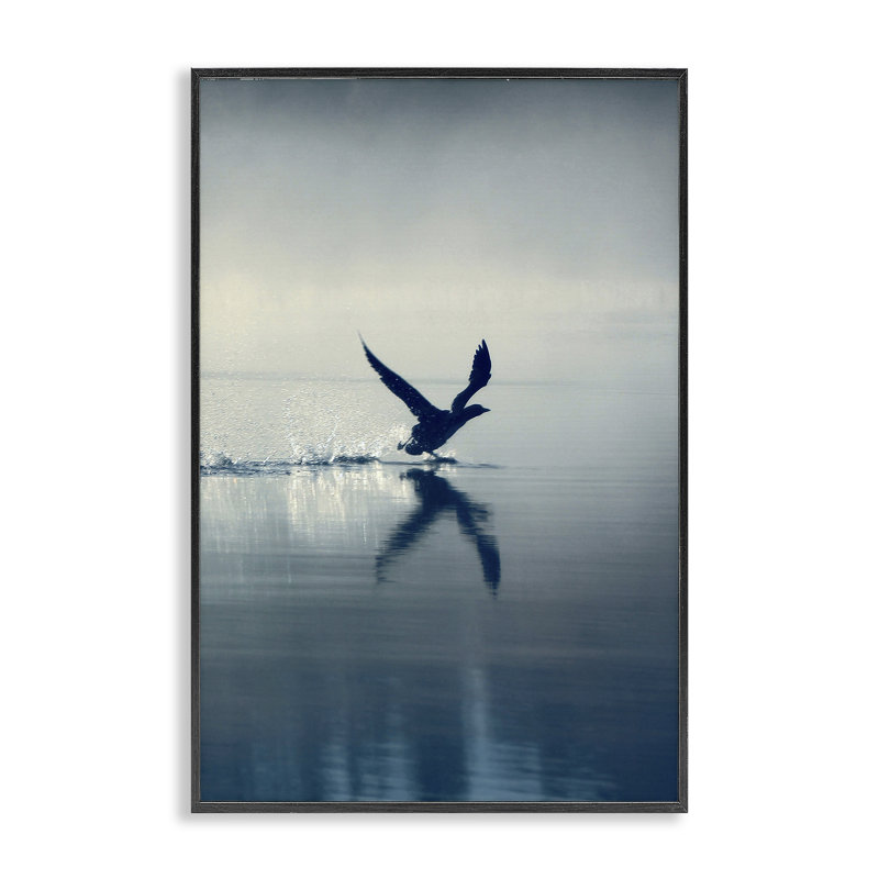  «Splashing Bird on Water», estampe numérique encadrée par Incado, H 24 po x l 16 po, Giclée encadrée noir minuit