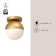 Monae 1 - Light Flush Mount