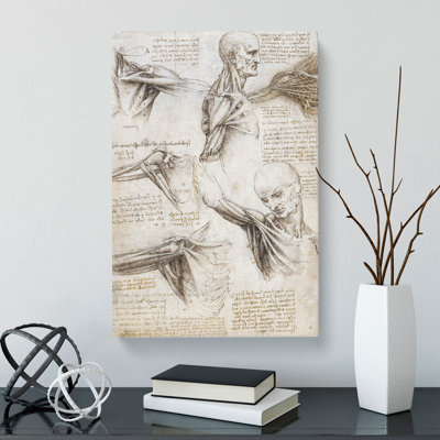 Human Anatomy Vol.3 by Leonardo Da Vinci - Wrapped Canvas