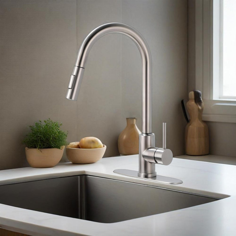 Kitchen Faucet With Pull Down Sprayer 