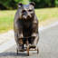 Bear Metal Garden Statue