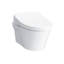 Washlet® Dual-Flush Elongated Wall-Mounted with High Efficiency Flush (Seat Included)