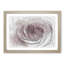 Pretty in Pink Rose Flower in Abstract - Framed Print-55768108-55768109