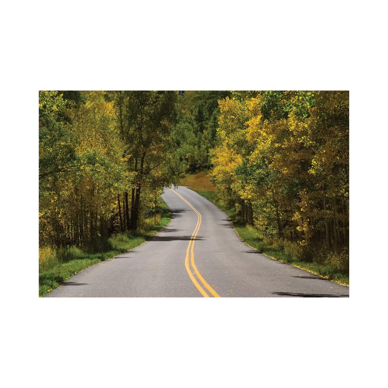 Road Passing Through a Forest, Maroon Bells, Maroon Creek Valley, Aspen, Pitkin County, Colorado, USA I 1 Piece Wrapped Canvas Wall Art