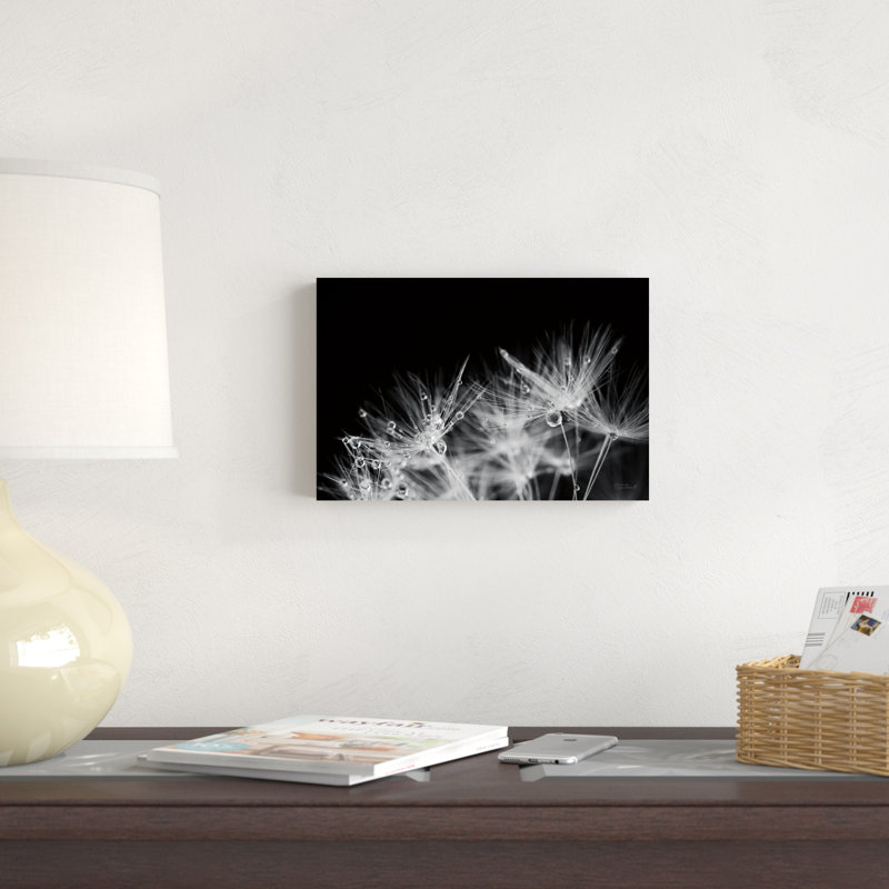 «Dandelion Dewdrops II» par Laura Marshall - photographie sur toile tendue, H 8 po x l 12 po x P 1,25 po