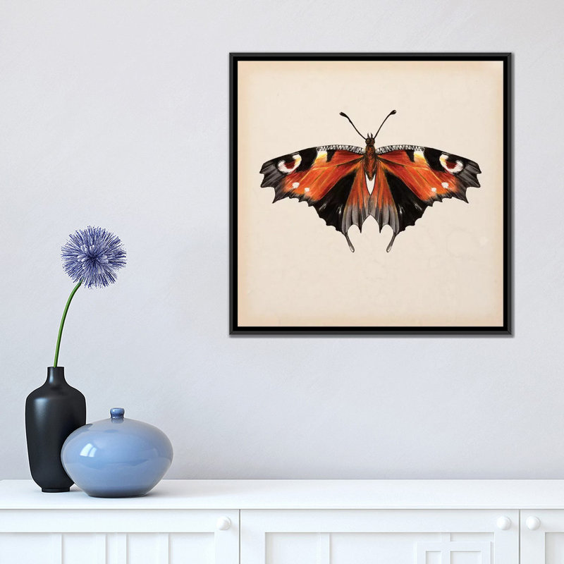 «Butterfly Study V», impression sur toile, H 18 po x l 18 po x P 1,5 po, Toile encadrée noire, Pas de tapis