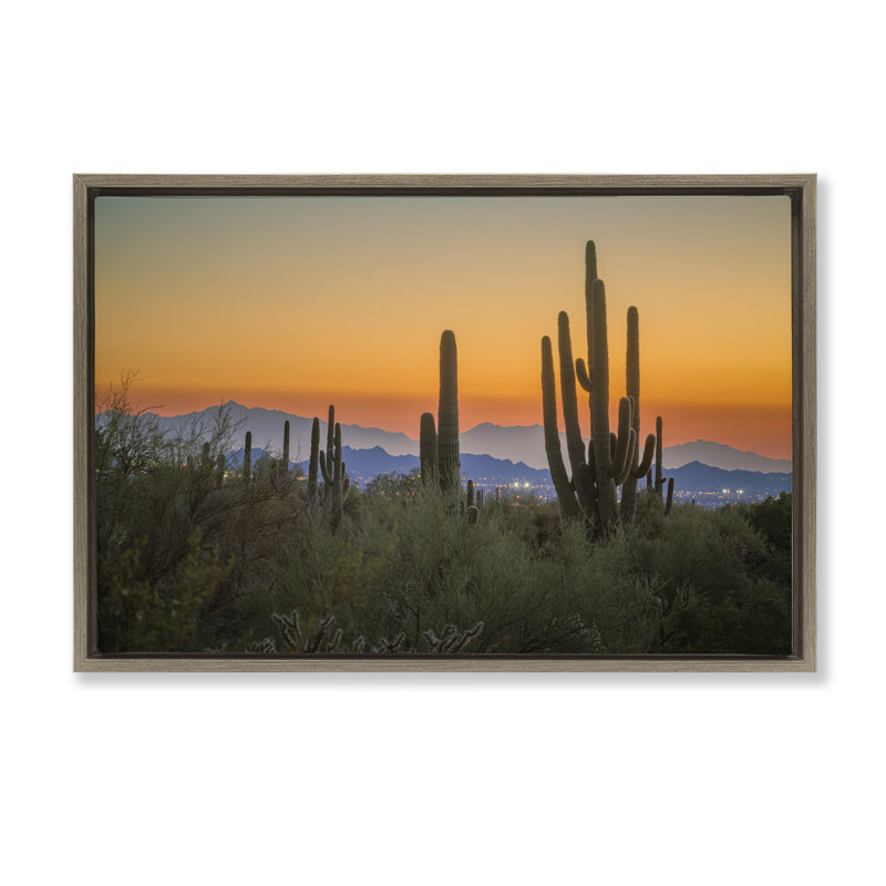 «Cacti Looming Sunset Floater» par Marty Hulsebos, Cadre flottant orme Montalcino, H 17 po x l 25 po