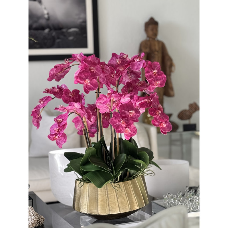 Helena Boat Planter With Phaleanopsis Orchids, Pink