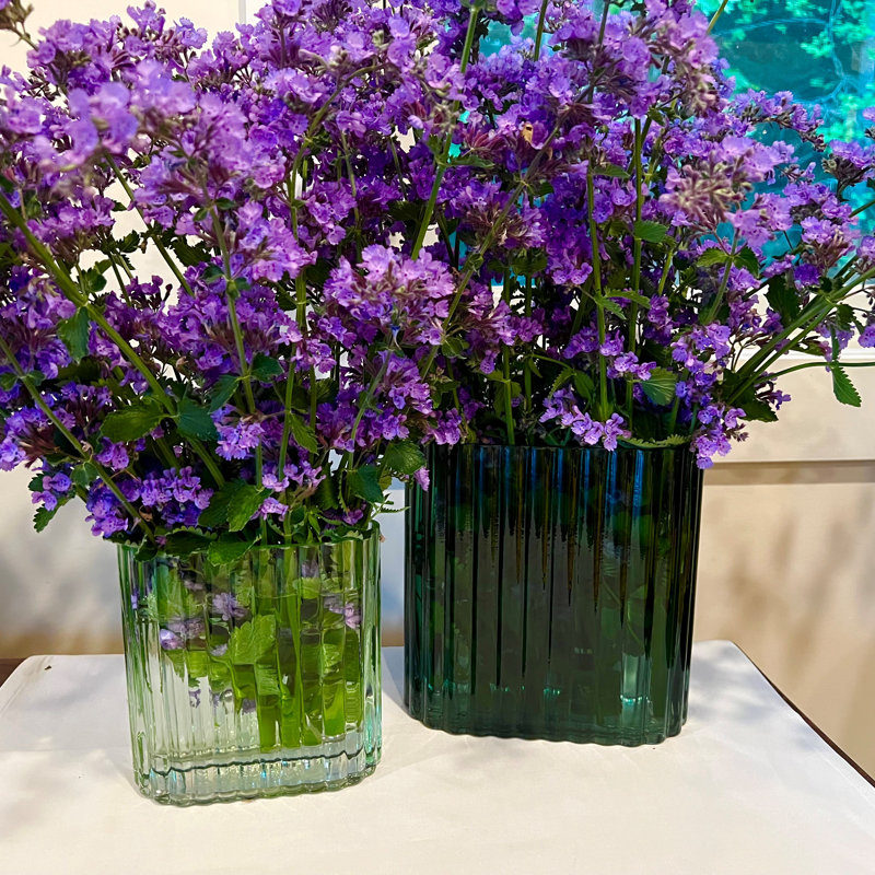 Ensemble de vases en verre 2 pièces