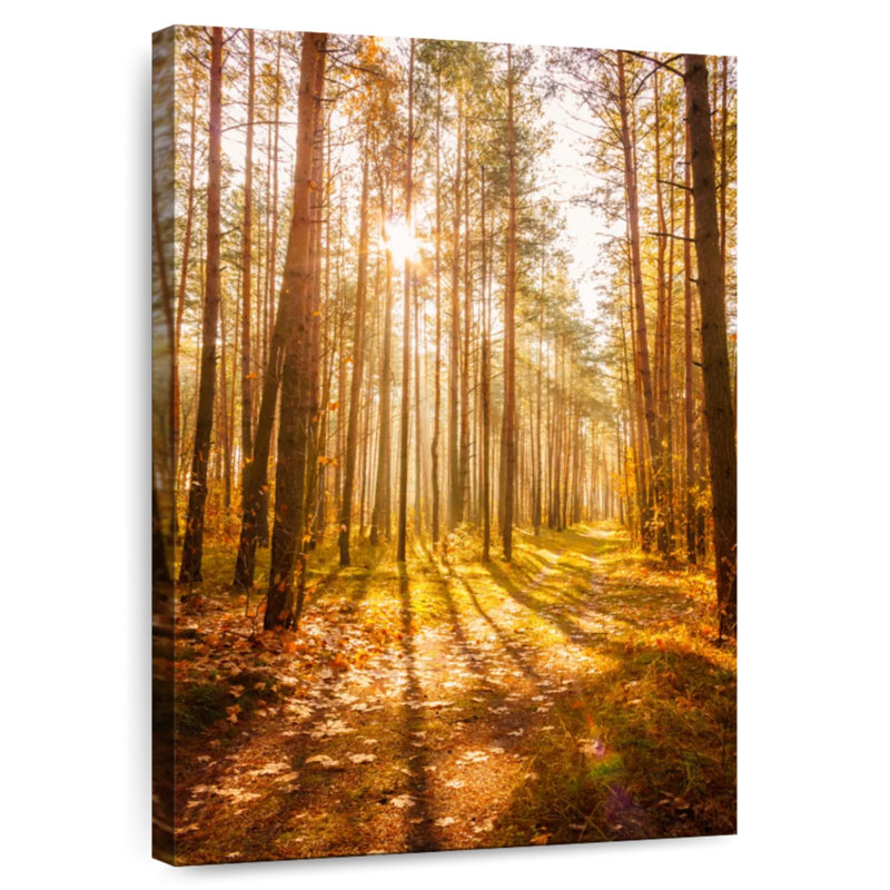 Alvord Autumn Forest Sun, 30" H x 20" W