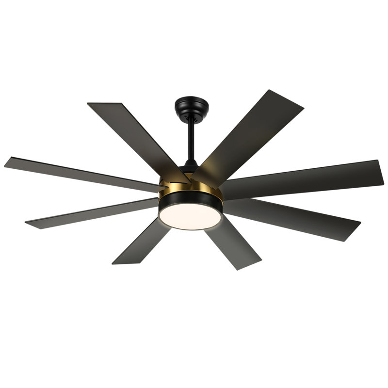 Maiju 60'' 8 Blades Smart Ceiling fan with light, Black/Gold, Black