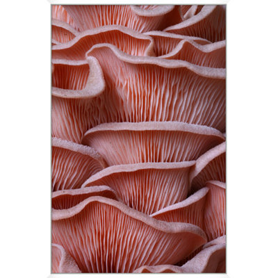 Salmon Textures Print by Mat Sanders