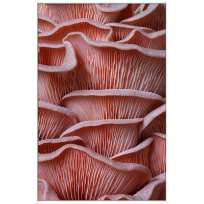 Textures saumon
