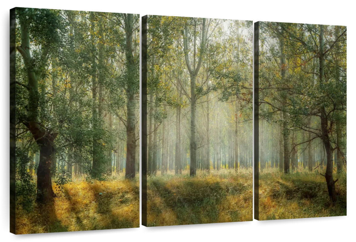 Millwood Pines Alvord Green Forest Landscape | Wayfair