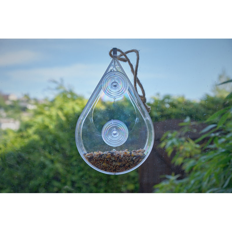 Bagley Window Decorative Bird Feeder