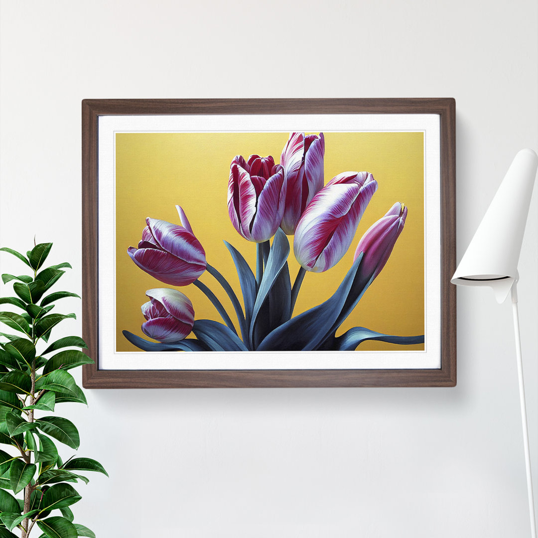 Hypnotic Tulip Flowers - Single Picture Frame Print