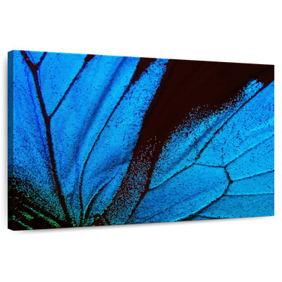 Ailes de papillon azur Brampt