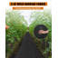 Tissu de paysage Weed Barrier-94834235