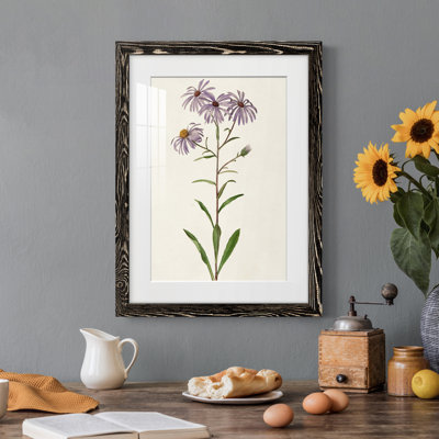 Mauve Garden Flowers III - peinture encadrée