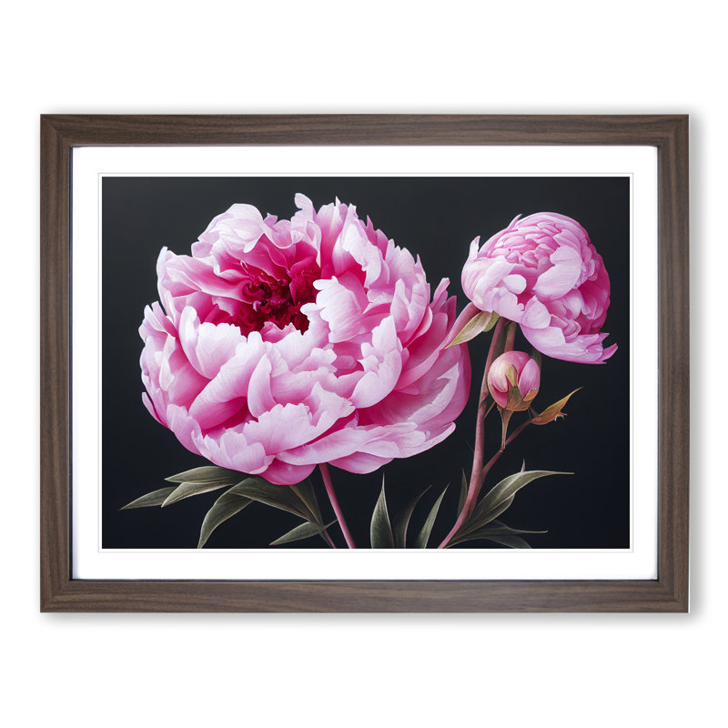 Adorable Peonies - Single Picture Frame Painting, Walnut Framed, 25cm H x 34cm W x 2cm D