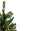 18" Pre-Lit Medium Canadian Pine Artificial Christmas Tree - Clear Lights