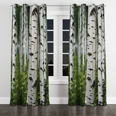 White Green Birch Tree Whispers III - Traditional Blackout Grommet Curtain - 1 Panel