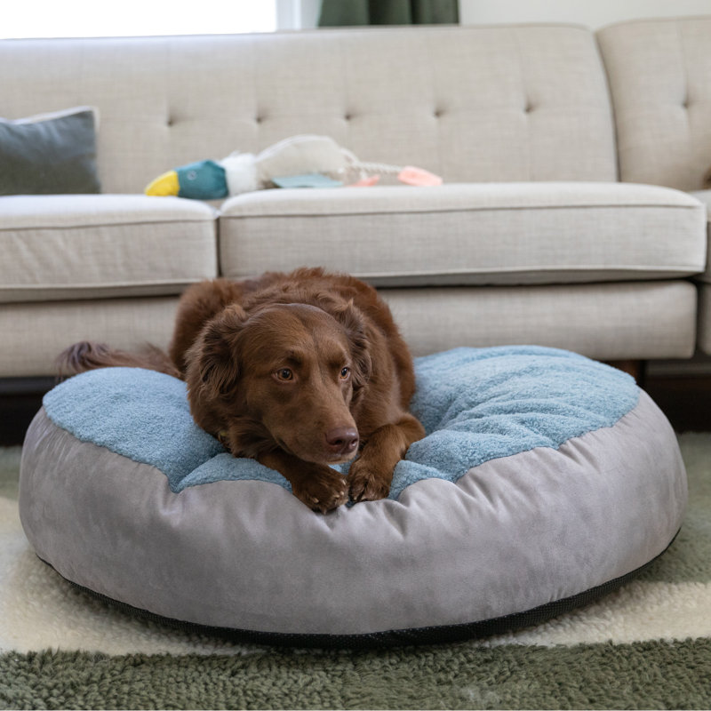 Robbi Round Dog Bed for Small, Medium & Large Dogs – Plush Pet Bed for All Breeds, Medium (9.5" H x 36" W x 36" D), Blue/Gray