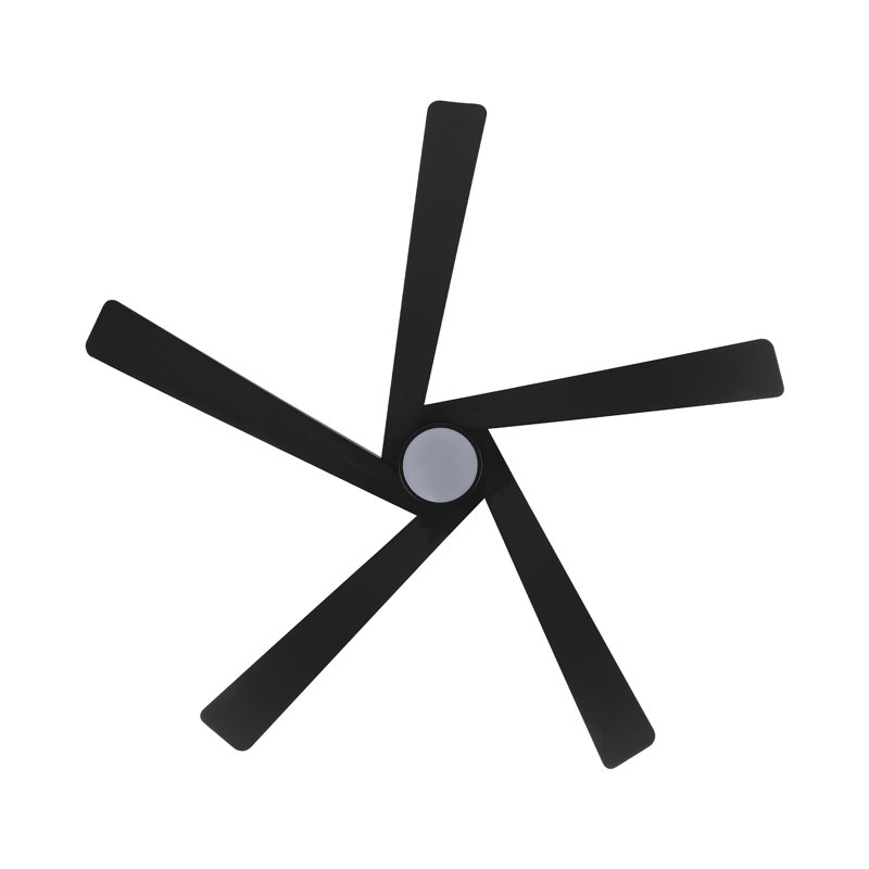 Athanafis Ceiling Fan with LED Lights, Black with Black Blades, 54"
