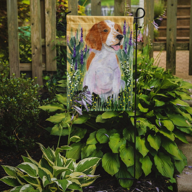 Drapeau de jardin 2 côtés gallois springer épagneul