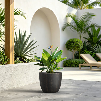 Grand pot de fleurs rond en béton brossé moyen avec trou de drainage pour installation intérieure et extérieure l 13,5 po x H 11,5 po