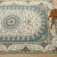Oriental Machine Tufted Shag Area Rug-1245959356
