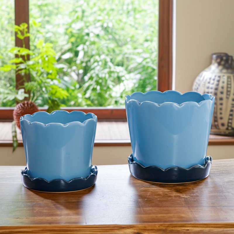 Saucer Planters Ceramic Scalloped Edge Design Modern Decorative Versatile Round Shape Durable Construction Set Of 2