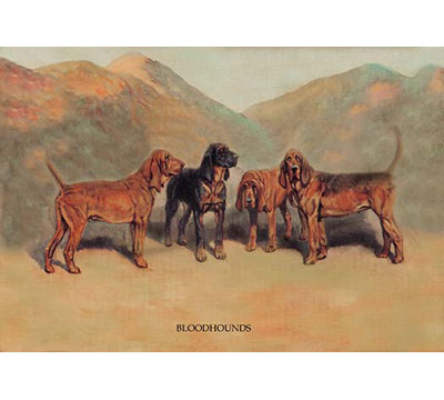T. Ivester Llyod - Unframed Print