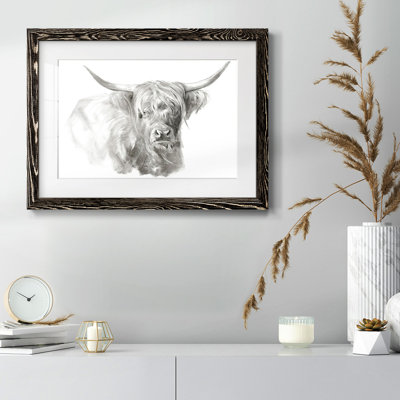 Bovins Highland Soft Focus I