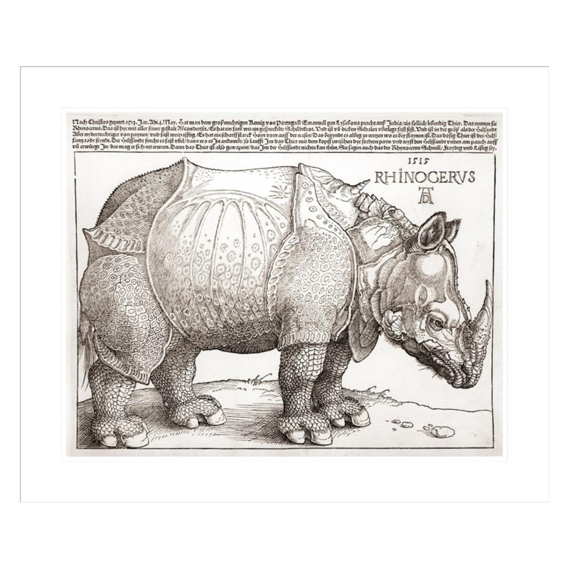 «The Rhinoceros» par Albrecht Dürer, impression giclée sur cadre, H 23,5 po x l 28,05 po