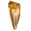 Chrisanne 2 - Light Flush Mounted Sconce