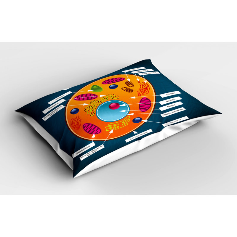 Educational Polyester Sham Set, Twin