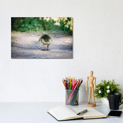 Gosling Butt by Karen Burke - Wrapped Canvas Print