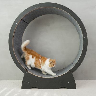 Denora 45'' Large Cat Running Wheel Treadmill