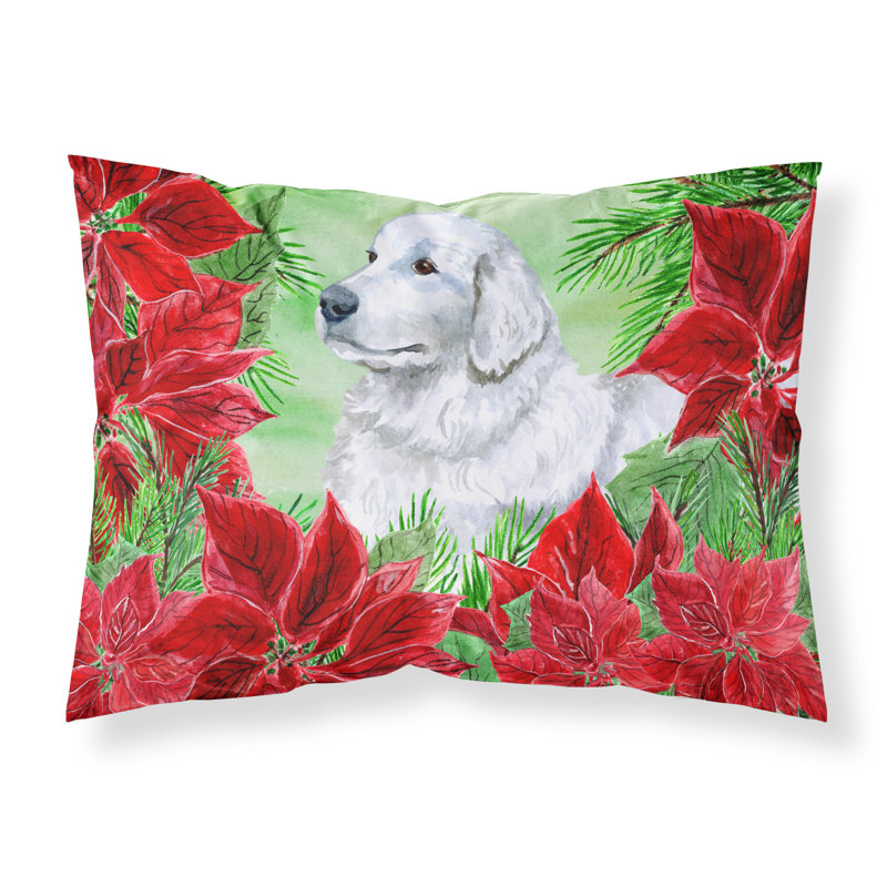 Taie d’oreiller poinsettas, Berger de Maremme