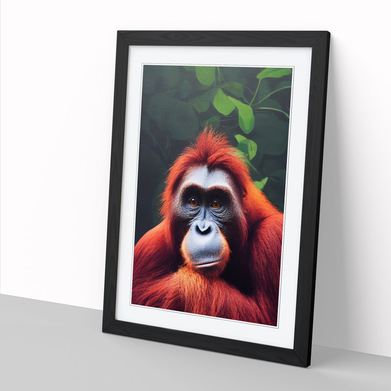 Orangutan Stare - Picture Frame Print, Black, 64cm H x 46cm W x 2cm D