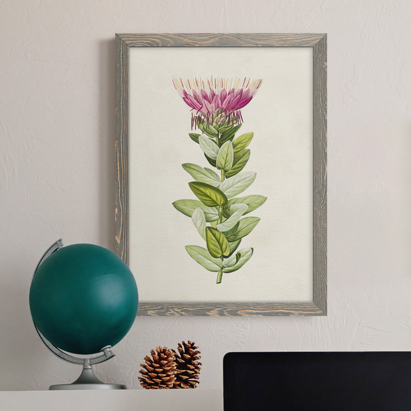 " Pretty Pink Botanicals IV ", 31" H x 44" W x 1" D, Gray Framed