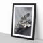 Eagle Hunting by Ohara Koson - Picture Frame Painting Print-55732593-55732595