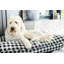 Lit pour chien Buffalo-56468088-56468084