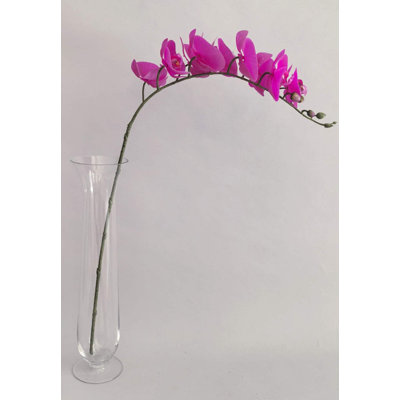 PHALAENOPSIS*9 FLEURS
